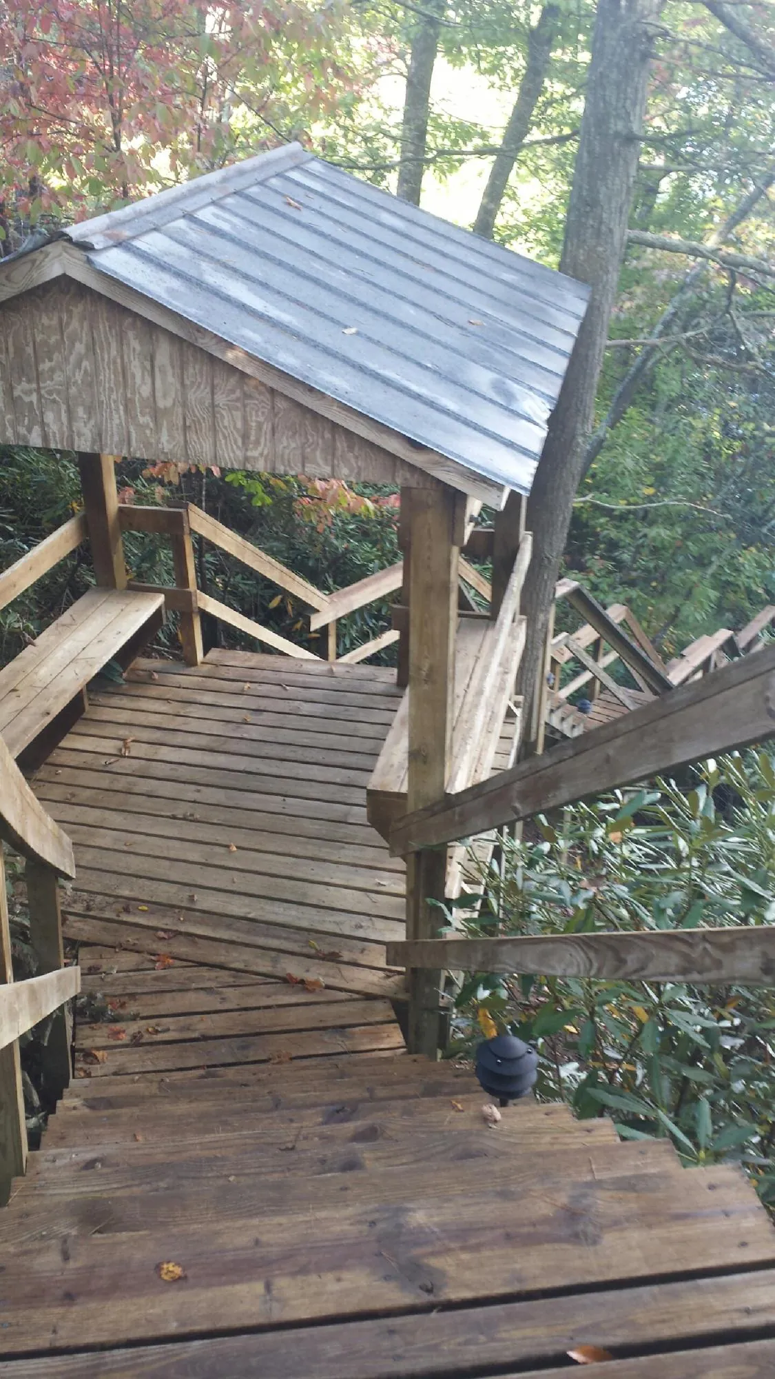 Metal roofed shelter over wooden steps on a wooded walkway — Skylight Repair & Installation work by our crew in Wayzata